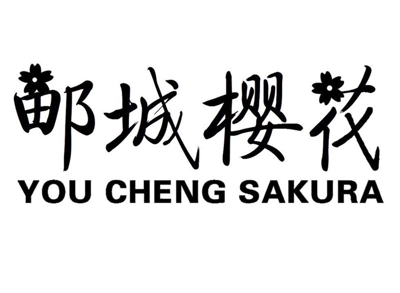 超妍，一个响亮而富有意义的词汇，在扬州超妍商贸有限公司的产品线中扮演着重要角色。那么，“超妍”究竟意味着什么？让我们通过故事叙述的方式一探究竟。